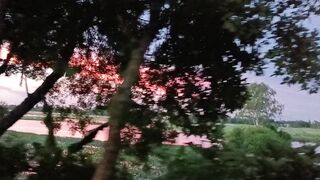 sunsett