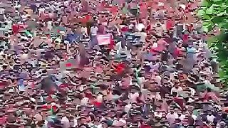 Bangladesh quota movement 2024