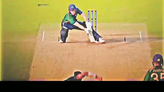 Fizz best out