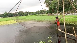 #fish keeping