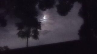 #night classic weather