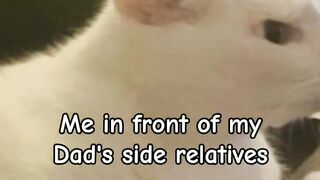 Dad's  side  relatives VS mom's side relatives ????