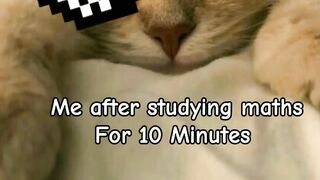 Me after studying maths 10 minutes
