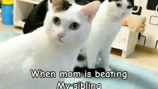 Le other siblings ????????.