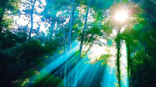 Nature status 3