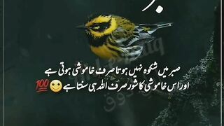 Sabar Status|patience quotes|best quotes