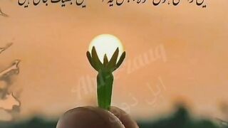 beautiful Whatsapp Status  |amazing inspirational quotes