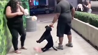A man scared a woman with a stuffed dog