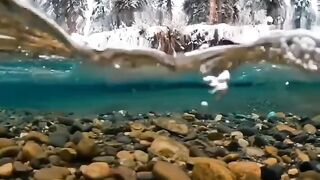 Beautiful view of nature 228
