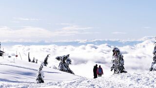 People walking on snow