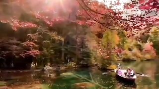 Beautiful view of nature 232