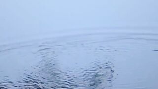 Beautiful view of nature 233