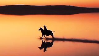 Beautiful view of nature 235