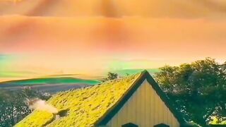 Beautiful view of nature 237