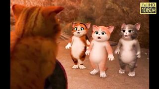 Nothing wrong with such a cute group of cats, who would not want to raise them! ! !