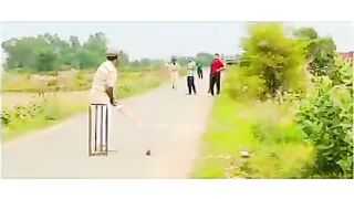 Cricket  ????