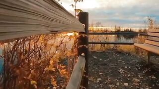Beautiful view of nature 239