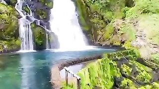 Beautiful view of nature 243