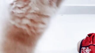 Playing cat