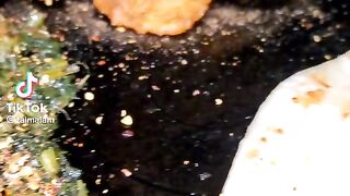 Best food in pak