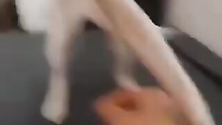 funny compilation part 2