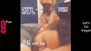 TRY NOT TO LAUGH ???? Best Funny Videos Compilation ????????????????????