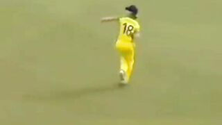 Top Funny cricket Movement  2023 #funny compilation # comedy #short #trending #viral #febspot #reels #foryou