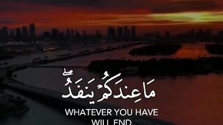 Tilawat e quran
