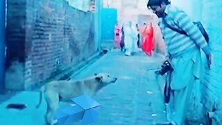 Funny  2023 tiktok viral videos