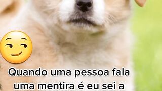 Pega na mentira