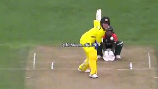 Cricket lover