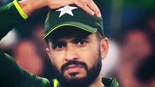 Cricket lover