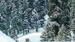 Snow dall