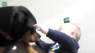 Cute babies