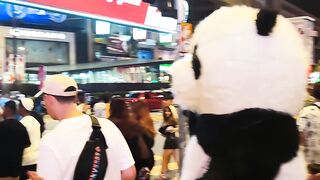 Panda ???? 2