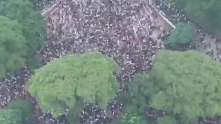 শহীদ মিনার ????????????