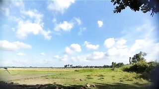 গ্রামের প্রকৃতির দৃশ্য