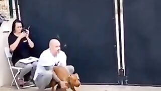 funny 297
