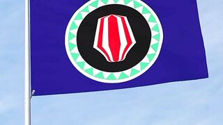 Flag Of Bougainville | Bendera Bougainville | Bougainville Flag