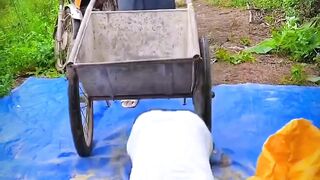 Funny Video #Shorts #Commedy#Funny 4