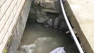 Funny Video #Shorts #Commedy#Funny 5