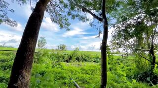 Natural Video #1