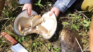 Treasure Trove of Vibrant Pearls Discovered in Village Flower River