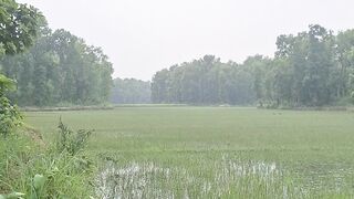 Bangladeshi Village View