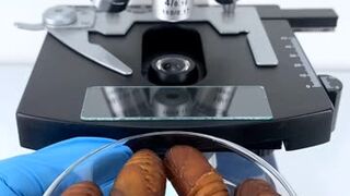 Microscope View #shorts #viralshort #microscope