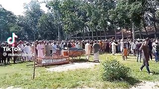 দামাল ছেলে