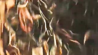 Amazing movie clip ????