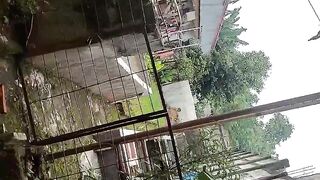 wall pond for cultivating catfish
