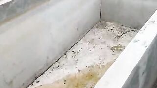 Kolam ikan cupang