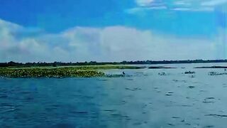 Beautiful river view 2